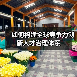 如何构建全球竞争力创新人才治理体系(图3) 如何构建全球竞争力创新人才治理体系(图3)