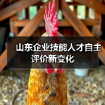 山东企业技能人才自主评价新变化（图2）