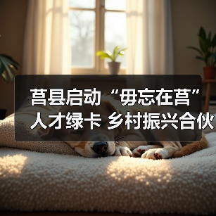 莒县启动“毋忘在莒”人才绿卡 乡村振兴合伙人招募引关注（图4）