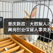重庆新政：大数据人才离岗创业保留人事关系+补贴政策详解（图1）