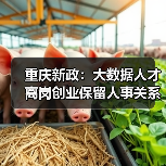 重庆新政：大数据人才离岗创业保留人事关系+补贴政策详解（图2）