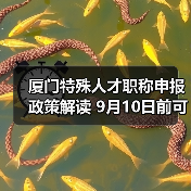 厦门特殊人才职称申报政策解读 9月10日前可申请（图3）