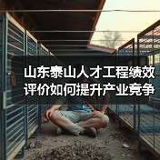 山东泰山人才工程绩效评价如何提升产业竞争力?(图2) 山东泰山人才工程绩效评价如何提升产业竞争力?(图2)