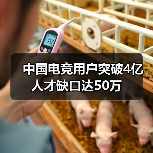中国电竞用户突破4亿 人才缺口达50万(图3) 中国电竞用户突破4亿 人才缺口达50万(图3)