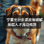 宁夏出台多项政策破解基层人才流动难题（图3）