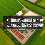 广西如何破除壁垒？劳动力流动新政全面解读（图1）