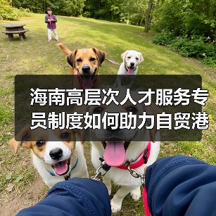 海南高层次人才服务专员制度如何助力自贸港建设?(图3) 海南高层次人才服务专员制度如何助力自贸港建设?(图3)
