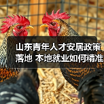 山东青年人才安居政策落地 本地就业如何精准引才?(图2) 山东青年人才安居政策落地 本地就业如何精准引才?(图2)