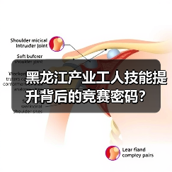 黑龙江产业工人技能提升背后的竞赛密码?(图2) 黑龙江产业工人技能提升背后的竞赛密码?(图2)