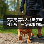 宁夏高层次人才电子证书上线，一站式服务提升效率（图2）