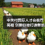 中关村国际人才会客厅亮相 创新链接打造新地标（图4）