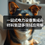 一站式电力设备集成商 祥科集团多领域应用解析（图4）