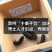 泉州“十条干货”加速博士人才引进，有哪些实招？（图1）