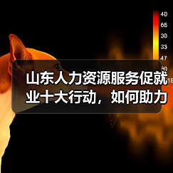 山东人力资源服务促就业十大行动,如何助力就业?(图4) 山东人力资源服务促就业十大行动,如何助力就业?(图4)