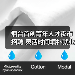 烟台首创青年人才夜市招聘 灵活时间填补就业空白(图1) 烟台首创青年人才夜市招聘 灵活时间填补就业空白(图1)