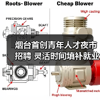 烟台首创青年人才夜市招聘 灵活时间填补就业空白(图4) 烟台首创青年人才夜市招聘 灵活时间填补就业空白(图4)