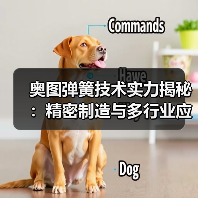 奥图弹簧技术实力揭秘：精密制造与多行业应用优势（图4）