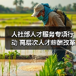 人社部人才服务专项行动 高层次人才薪酬改革如何落地？（图2）