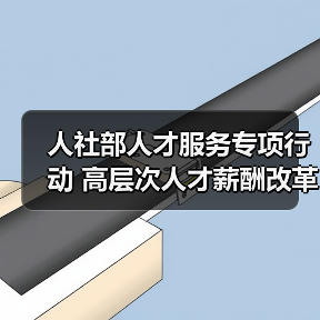 人社部人才服务专项行动 高层次人才薪酬改革如何落地？（图4）