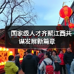 国家级人才齐聚江西共谋发展新篇章（图2）