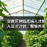 安徽区块链高端人才纳入英才计划,智慧养老与5G协同发展如何实现?(图2) 安徽区块链高端人才纳入英才计划,智慧养老与5G协同发展如何实现?(图2)