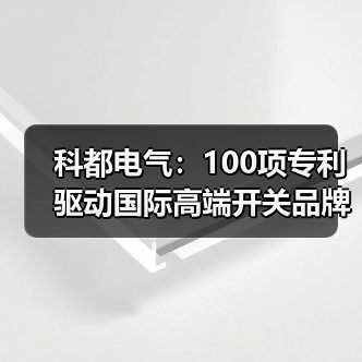 科都电气:100项专利驱动国际高端开关品牌崛起,为何赢得全球认可?(图3) 科都电气:100项专利驱动国际高端开关品牌崛起,为何赢得全球认可?(图3)