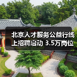 北京人才服务公益行线上招聘启动 3.5万岗位精准对接（图3）