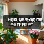 上海直播电商如何打造行业自律标杆？（图4）