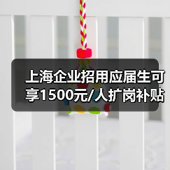 上海企业招用应届生可享1500元/人扩岗补贴,如何精准发放?(图2) 上海企业招用应届生可享1500元/人扩岗补贴,如何精准发放?(图2)