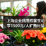 上海企业招用应届生可享1500元/人扩岗补贴,如何精准发放?(图1) 上海企业招用应届生可享1500元/人扩岗补贴,如何精准发放?(图1)