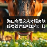 海口高层次人才服务联络员管理细则发布:打造精准服务新优势(图2) 海口高层次人才服务联络员管理细则发布:打造精准服务新优势(图2)