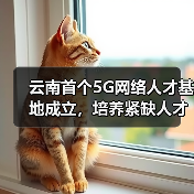 云南首个5G网络人才基地成立，培养紧缺人才助推数字云南（图3）