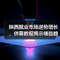 陕西就业市场逆势增长,供需数据揭示哪些趋势?(图3) 陕西就业市场逆势增长,供需数据揭示哪些趋势?(图3)