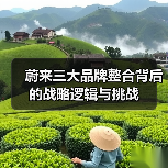 蔚来三大品牌整合背后的战略逻辑与挑战（图2）