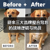 蔚来三大品牌整合背后的战略逻辑与挑战（图1）