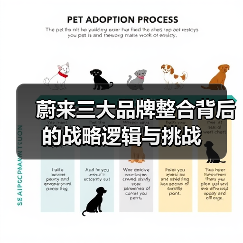 蔚来三大品牌整合背后的战略逻辑与挑战（图3）