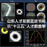 山东人才发展蓝皮书揭示 山东人才发展蓝皮书揭示