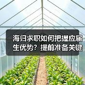 海归求职如何把握应届生优势?提前准备关键(图3) 海归求职如何把握应届生优势?提前准备关键(图3)