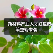 新材料产业人才红包政策重磅来袭（图1）