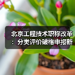 北京工程技术职称改革:分类评价破格申报新政解读(图3) 北京工程技术职称改革:分类评价破格申报新政解读(图3)