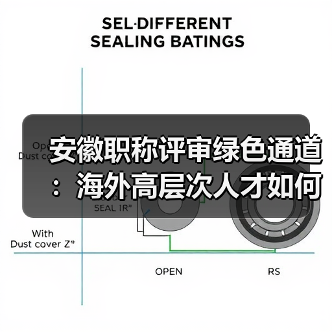 安徽职称评审绿色通道:海外高层次人才如何破除学历限制?(图3) 安徽职称评审绿色通道:海外高层次人才如何破除学历限制?(图3)