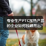 专业生产PTC加热产品的企业如何脱颖而出?——聚焦新能源汽车与家电解决方案(图2) 专业生产PTC加热产品的企业如何脱颖而出?——聚焦新能源汽车与家电解决方案(图2)