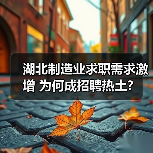 湖北制造业求职需求激增 为何成招聘热土?(图2) 湖北制造业求职需求激增 为何成招聘热土?(图2)