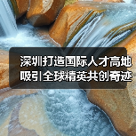 深圳打造国际人才高地吸引全球精英共创奇迹(图1) 深圳打造国际人才高地吸引全球精英共创奇迹(图1)