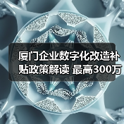 厦门企业数字化改造补贴政策解读 最高300万(图4) 厦门企业数字化改造补贴政策解读 最高300万(图4)