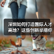 深圳如何打造国际人才高地？这些创新举措你了解吗？（图2）