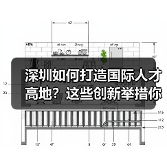深圳如何打造国际人才高地？这些创新举措你了解吗？（图4）