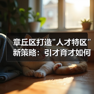 章丘区打造 章丘区打造