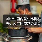 毕业生国内就业比例攀升，人才回流趋势明显吗？（图2）