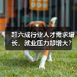 超六成行业人才需求增长,就业压力却增大?人才供求报告解析(图1) 超六成行业人才需求增长,就业压力却增大?人才供求报告解析(图1)